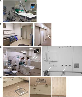 Ultra-high field cardiac MRI in large animals and humans for translational cardiovascular research